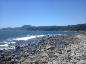海